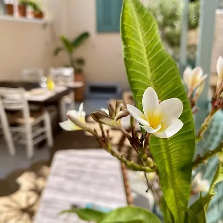 Calass House Rodos Center Niochori *